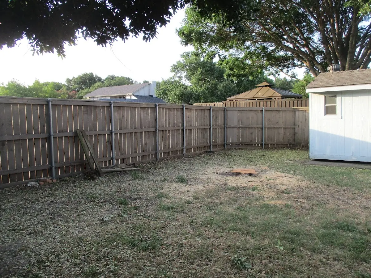 Cleared yard after professional tree removal in Sprankle Mills